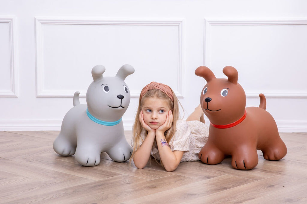 My First JUMPY – Brown Dog