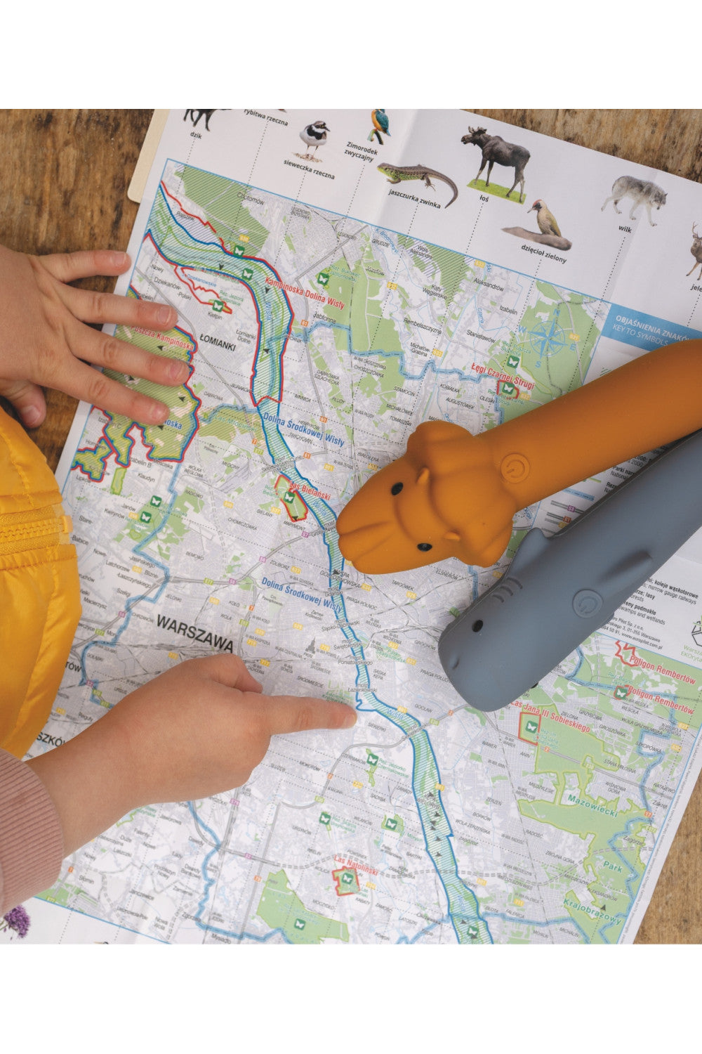 Flashlight for Kids - Lion LEO