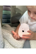 Set of 2 Mini Bear Lights - White and Arctic Blue